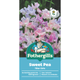 Mr Fothergill Sweet Pea Tiller Girls Seeds 75mm Fragrant Floral