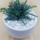 Tuscan Path White Aztec Pebbles 45mm 1kg Glass Decorative Stones