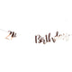 21st Birthday Rose Gold Bunting | Auzzi Store