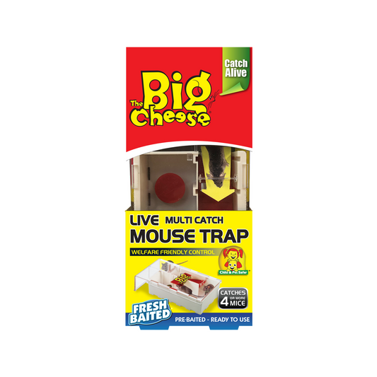 The Big Cheese Live Multi Catch Mouse Trap - Catches 4+ Mice - 10.7mm x 23.5mm x 4.7mm - Auzzistore