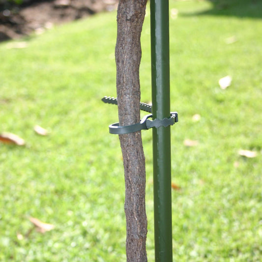 Jack Adjustable Plant Ties - 120mm - Plastic - Reusable – view 2 - Auzzistore