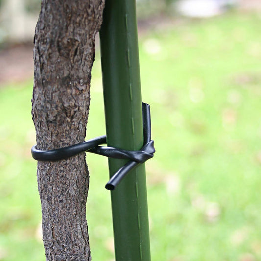 Jack Soft Lace Tie - 3mm x 50m - Plastic - Soft on Plants – view 2 - Auzzistore