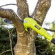 Ryobi 18V One EZ Reach HP 10” Pole Pruner Attachment - Efficient Pruning Tool
