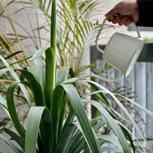 Rapid 0.9L Steel Watering Can - Ivory - Durable - Precise Watering – view 2 - Auzzistore