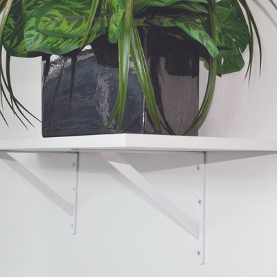 Carinya Straight Stayed Bracket 400x350mm White Steel 100kg Capacity