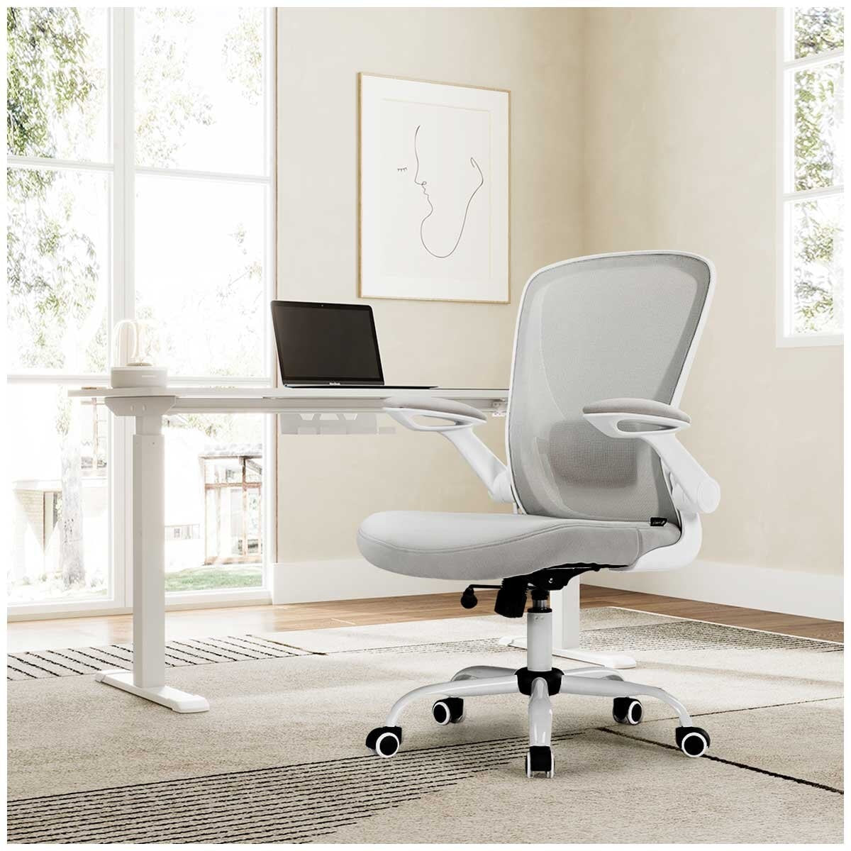 Eureka OC06 ONYX Ergonomic Office Chair Grey