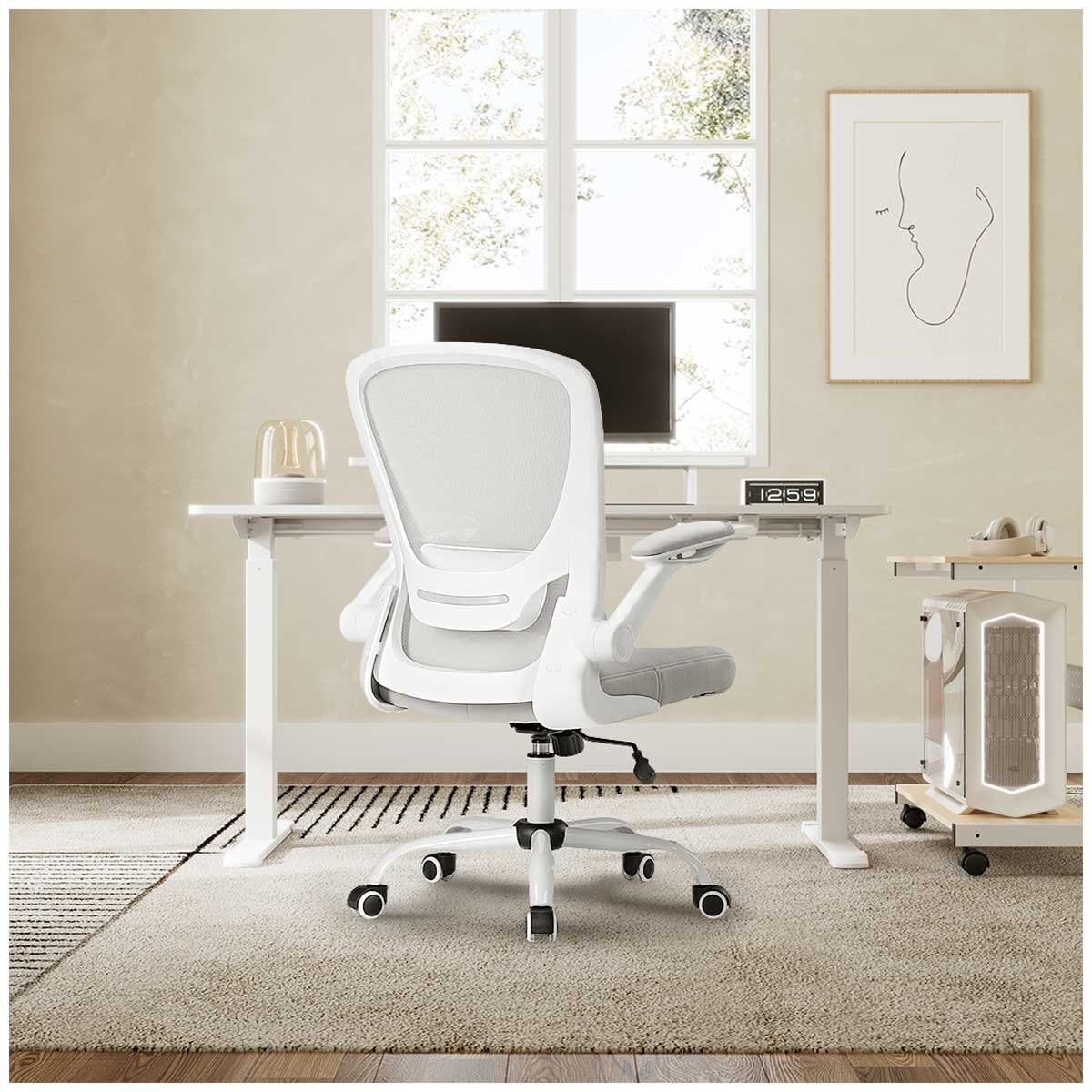 Eureka OC06 ONYX Ergonomic Office Chair Grey