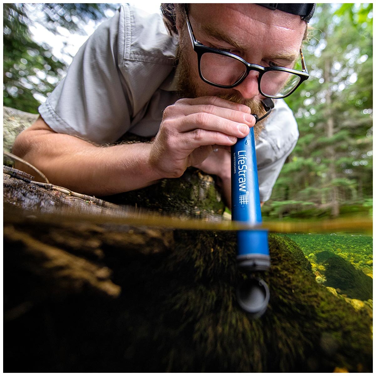 LifeStraw Personal Water Filter 4 Pack