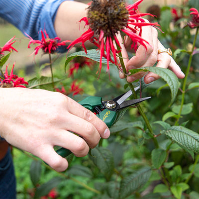 Cyclone Pruner Floral Snips - 80mm Steel Blades - Comfortable Grip