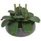 CG Hunter Faux Phalaenopsis Orchid Arrangement Pink 61cm – view 3