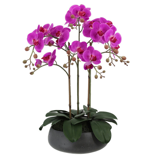 CG Hunter Faux Phalaenopsis Orchid Arrangement Pink 61cm - Auzzistore