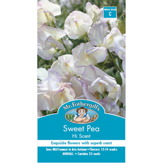 Mr Fothergill Sweet Pea Flower Seeds 180cm Seeds Fragrant Climber - Auzzistore