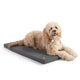 Fido Fletch Medium Kennel Pet Pillow - Soft Durable Polyester - Grey