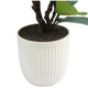 CG Hunter Faux Slim Fig Tree 2M – view 4