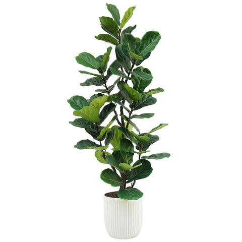 CG Hunter Faux Slim Fig Tree 2M - Auzzistore
