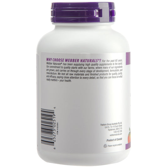 Webber Naturals Ginkgo Biloba 250 Tablets – view 2