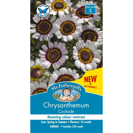 Mr Fothergill Chrysanthemum Cockade - Seeds - Attracts Bees & Butterflies - Auzzistore