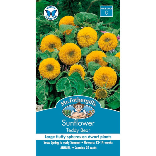 Mr Fothergill Sunflower Teddy Bear Seeds - 75mm - Easy To Grow - Attracts Pollinators - Auzzistore