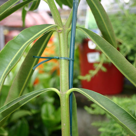 Jack Handy Twist Plant Tie 200mm Wire Plastic 200 Pack Green – view 2 - Auzzistore