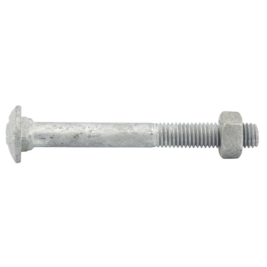 Zenith Hot Dip Galvanised M10 x 180mm Cup Head Bolts Nuts 12 Pack – view 2 - Auzzistore