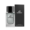 Burberry Mr Burberry Eau de Toilette 100ml