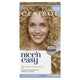 Clairol Nice N Easy 8G Natural Golden Blonde Permanent Hair Colour - 173g – view 2 - Auzzistore