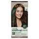 Clairol Root Touch Up Natural Instincts 5 Medium Brown - Permanent Hair Colour (35g) – view 2