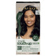 Clairol Root Touch Up Natural Instincts 2 Black - Permanent Hair Colour (35g) – view 2