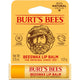 Burt's Bees Beeswax Lip Balm 4.25g - 100% Natural Moisturizer - Auzzistore
