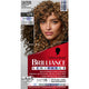 Schwarzkopf Brilliance L75 Brown Sugar - Effortless Colour & Lightening – view 2 - Auzzistore