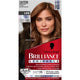 Schwarzkopf Brilliance L68 Cinnamon Brown - One-Step Colour & Lightening – view 2 - Auzzistore
