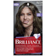 Schwarzkopf Brilliance Cool Browns 73 Frosty Brown - Permanent Hair Colour – view 2