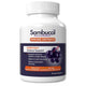 Sambucol Immune Defence Everyday Capsules - 60 Capsules - Auzzistore