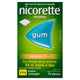 Nicorette Gum 4mg Fresh Fruit - 75 Pieces – view 2 - Auzzistore
