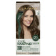 Clairol Root Touch Up Natural Instincts 6 Light Brown - Permanent Hair Colour (35g) – view 2