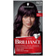 Schwarzkopf Brilliance 03 Dark Amethyst Hair Color - Permanent Fashion Shade – view 2
