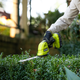 Ryobi 18V ONE+ Hedge Grass Shears R18HTR130 - 200mm Blade - Tool Only