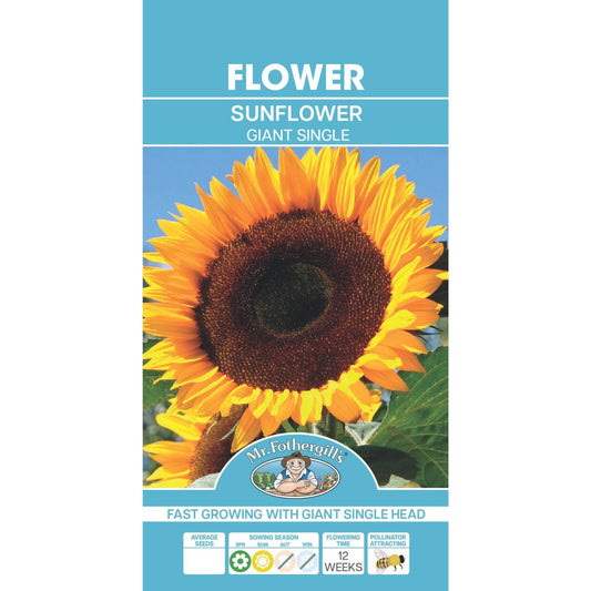 Mr Fothergill Sunflower Giant Single Seeds - 50 Seeds - Hardy - Quick Growing - Auzzistore