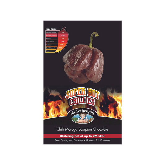 Mr Fothergill S Chilli Moruga Scorpion Chocolate Seeds - 20 Pack - 2 Million SHU - Auzzistore