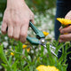 Cyclone Pruner Floral Snips - 80mm Steel Blades - Comfortable Grip
