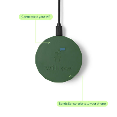Willow Smart Indoor Plant Sensor Plant Parent Pack Moss - 3 Sensors - 260mm x 40mm x 197mm - Monitors Soil Moisture, Light, Temperature, Humidity