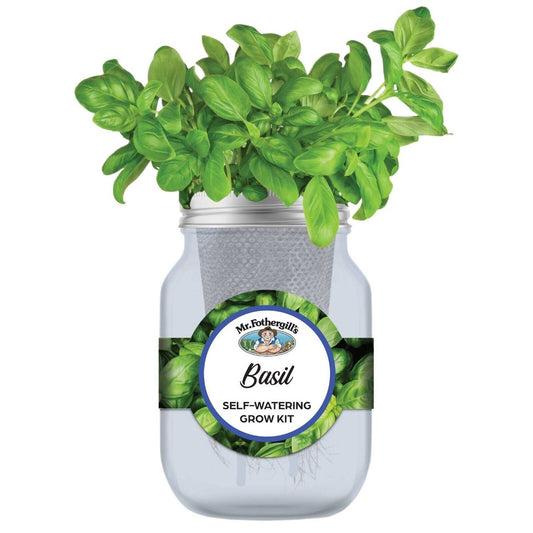 Mr Fothergill S Self Watering Mason Jar Grow Kit Basil - 90mm x 172mm - Blue - Indoor Gardening – view 2 - Auzzistore