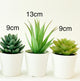 3 Pack of Artificial Succulent Potted Plants in White Plastic 6cm Pot Interior Decoration | Auzzi Store