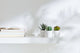 3 Pack of Artificial Succulent Potted Plants in White Plastic 6cm Pot Interior Decoration | Auzzi Store