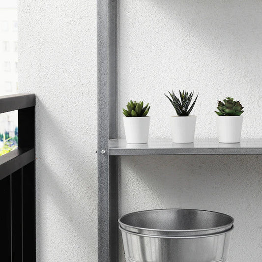 3 Pack of Artificial Succulent Potted Plants in White Plastic 6cm Pot Interior Decoration | Auzzi Store