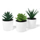 3 Pack of Artificial Succulent Potted Plants in White Plastic 6cm Pot Interior Decoration | Auzzi Store