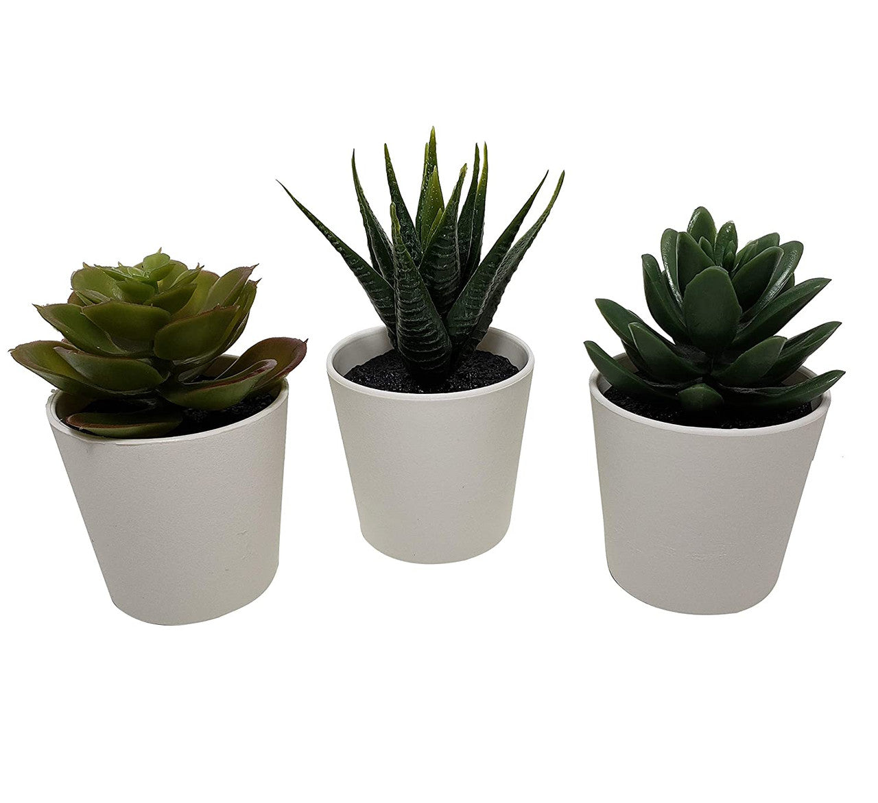 3 Pack of Artificial Succulent Potted Plants in White Plastic 6cm Pot Interior Decoration | Auzzi Store