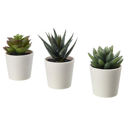 3 Pack of Artificial Succulent Potted Plants in White Plastic 6cm Pot Interior Decoration | Auzzi Store
