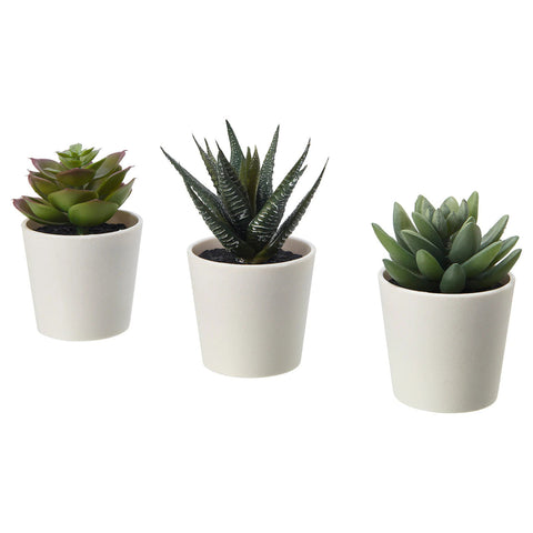 3 Pack of Artificial Succulent Potted Plants in White Plastic 6cm Pot Interior Decoration | Auzzi Store