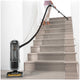Shark Navigator Upright Vacuum ZU62